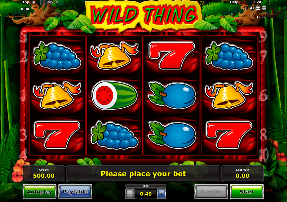 wild thing novomatic slot