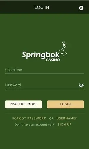 Proceed with Springbok casino login