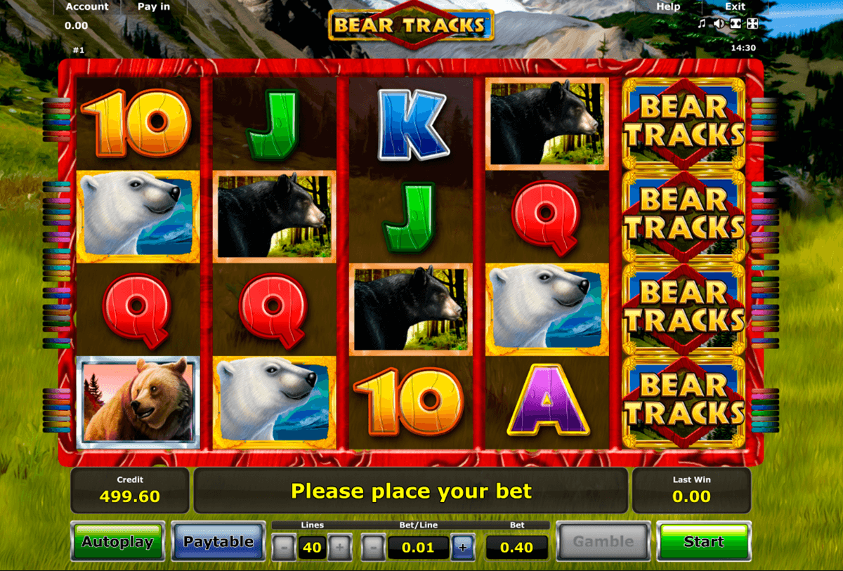 bear tracks novomatic slot