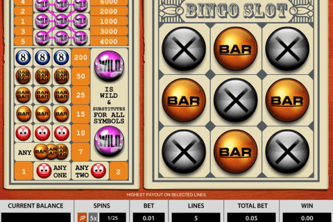 bingo slot  reels pragmatic slot