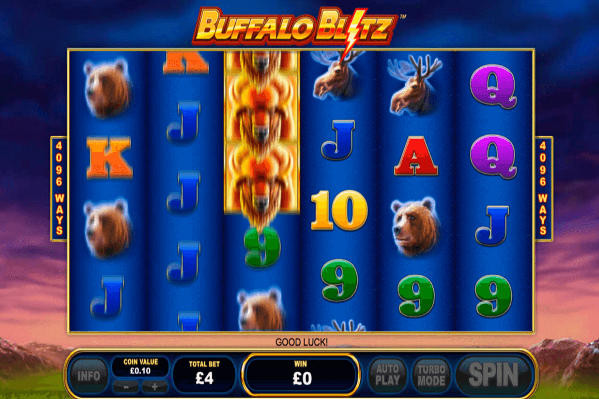 buffalo blitz playtech screenshot 