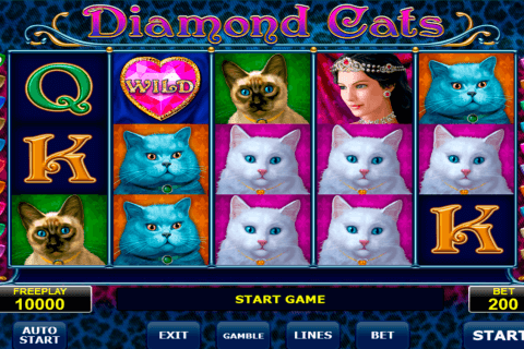 Cats Online Slots