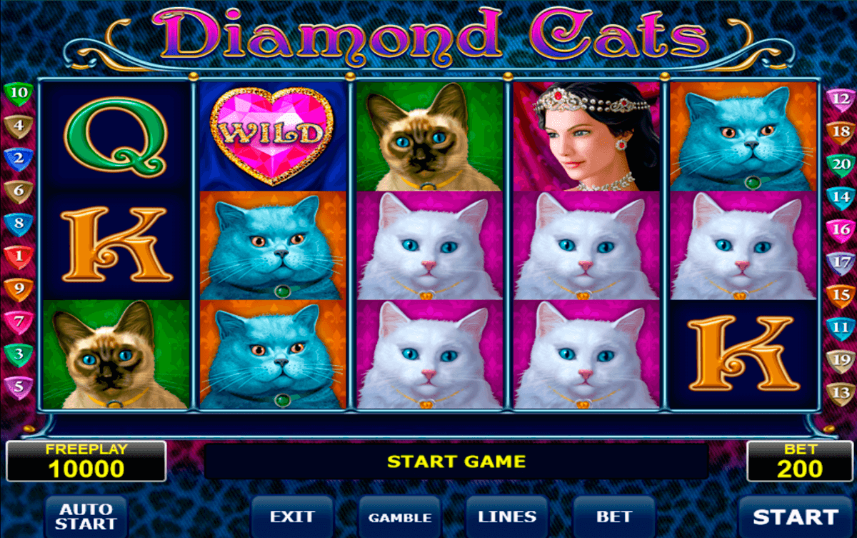 Cat sim online play with cats game