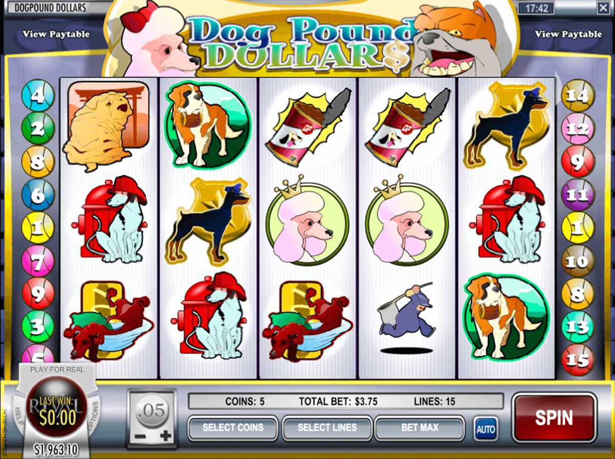 dog pound dollars rival slot 
