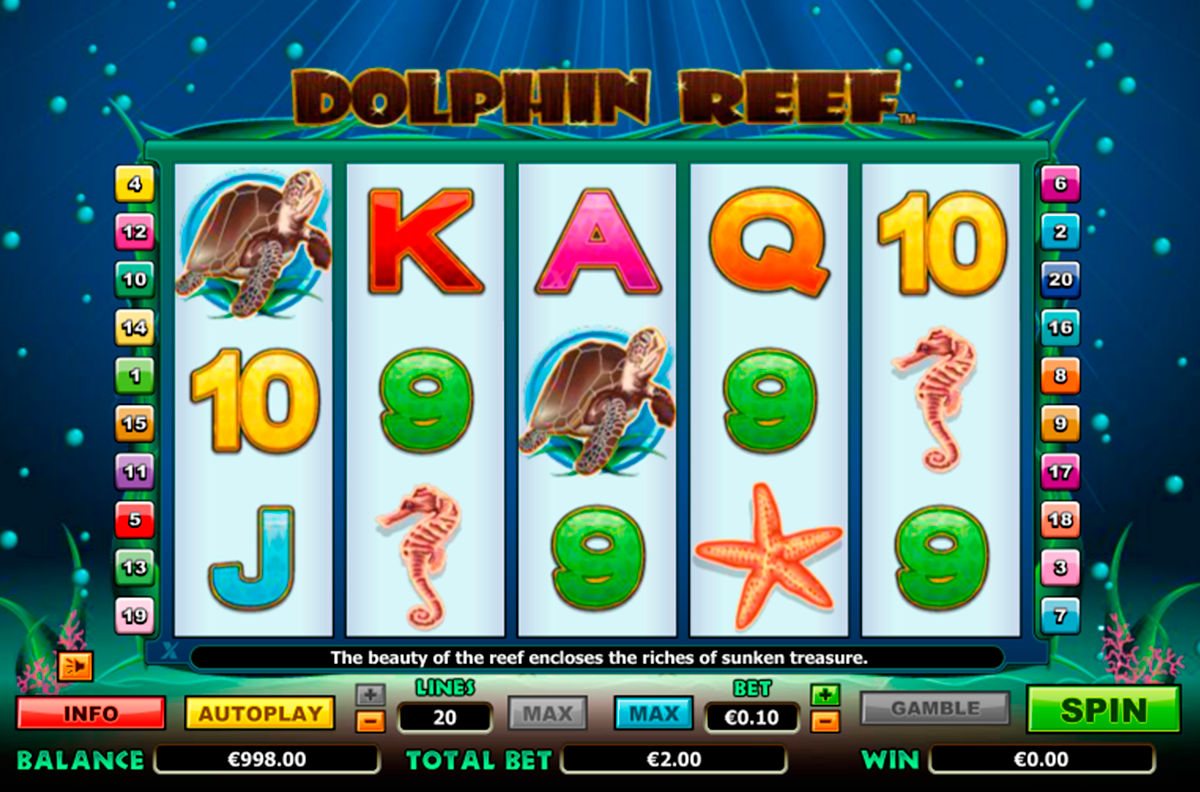 dolphin reef nextgen gaming 1 