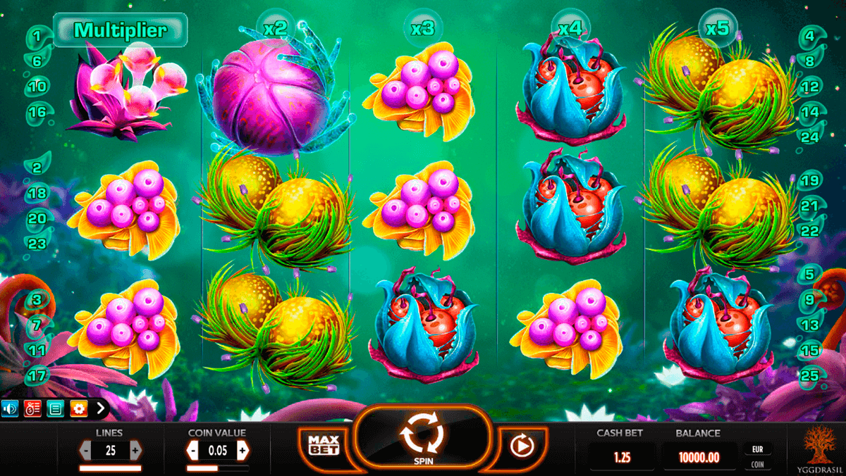 fruitoids yggdrasil slot