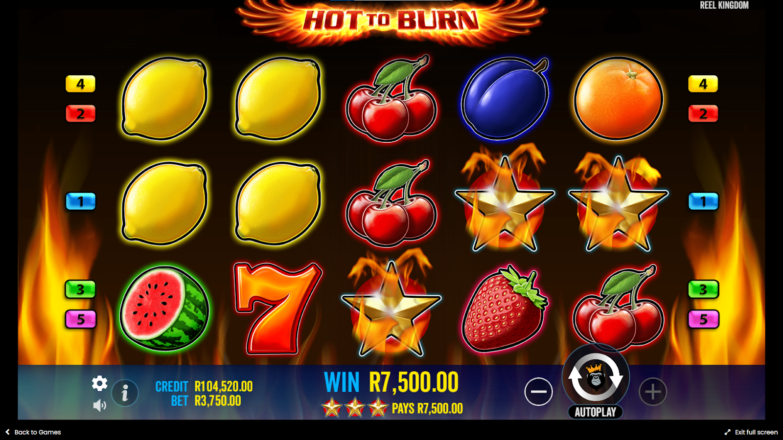 Hot to Burn Slot Review 3