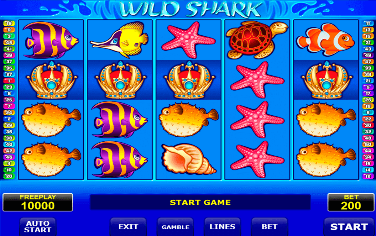 wild shark amatic slot 